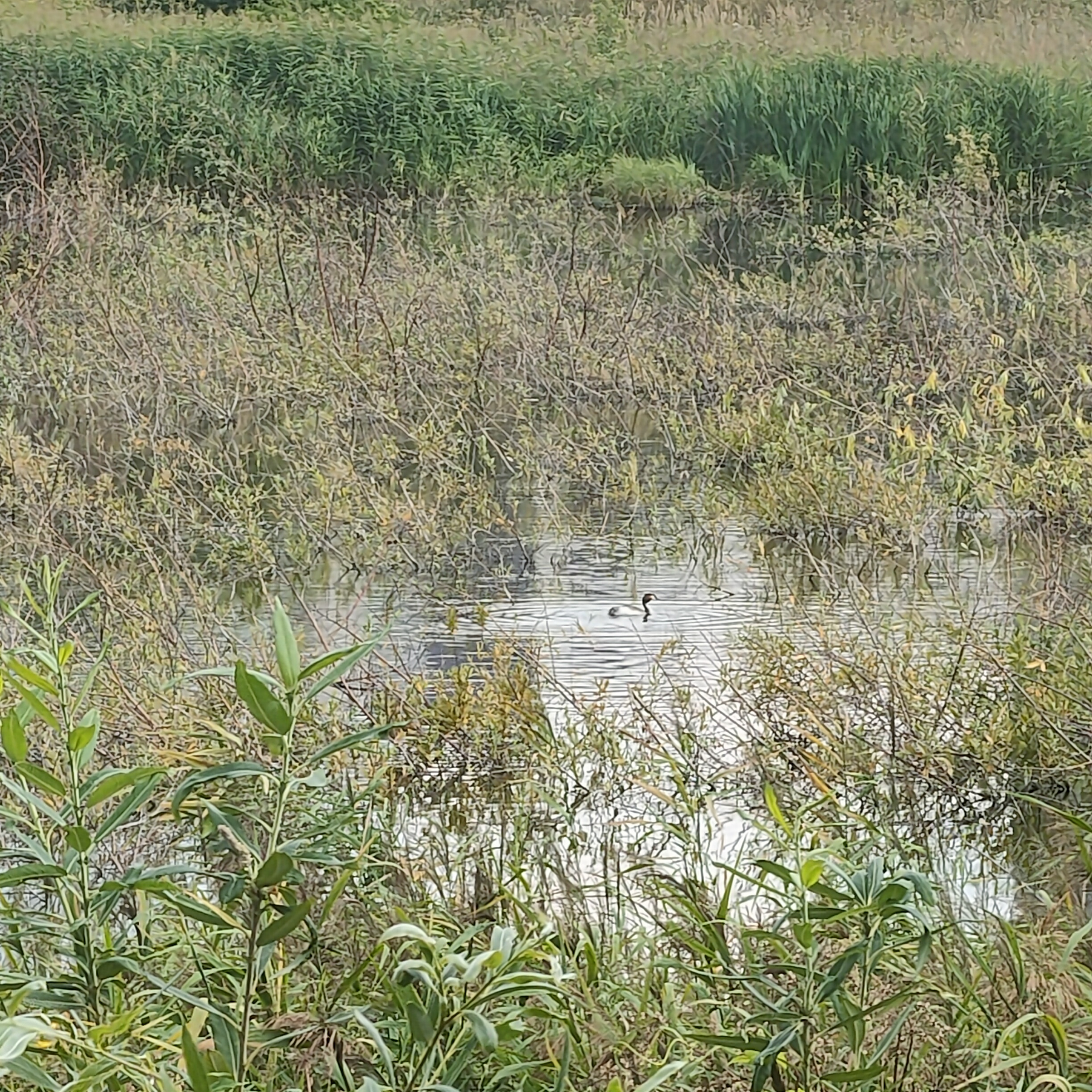 IMG20260812100600.jpg