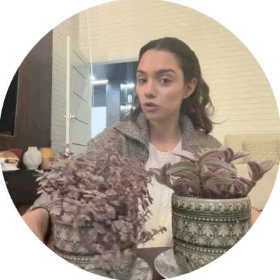 https://i1.imageban.ru/out/2026/08/13/5e87aabead8792e1e47458c73efe26fc.gif
