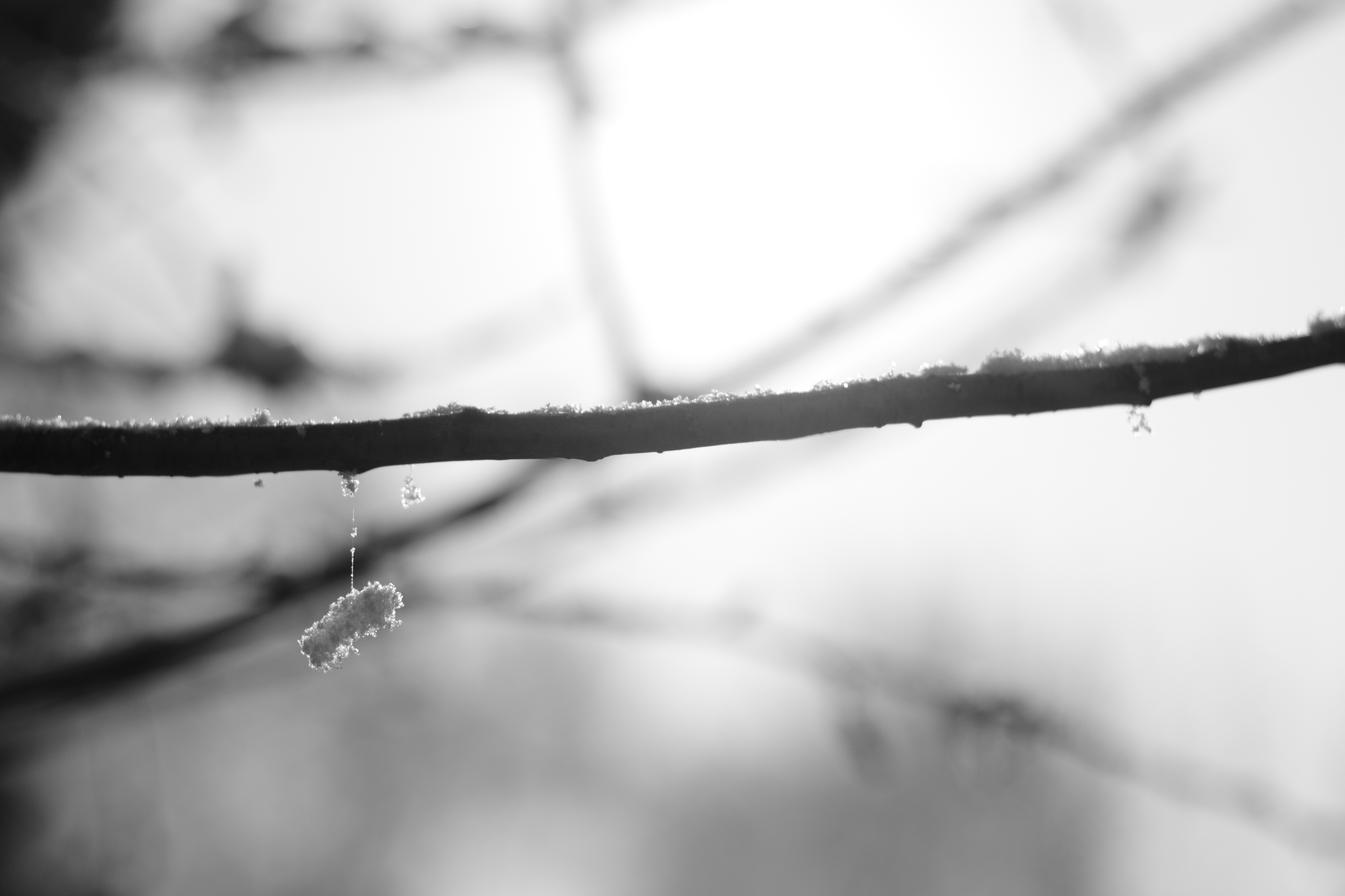 DSC_3349.JPG