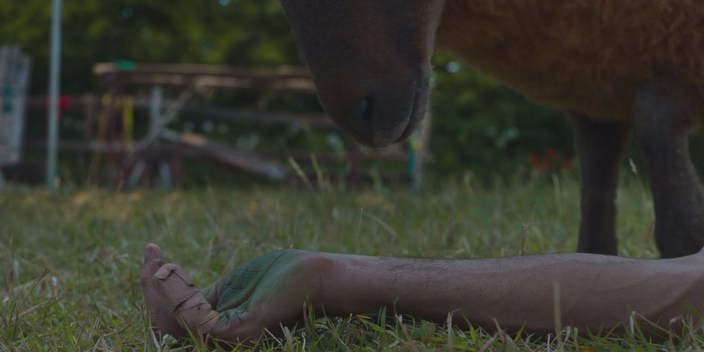 The.Sheep.Detectives.2026.HDRip.1.46gb_by_ТоррНадо.avi_snapshot_00.21.16.510.jpg