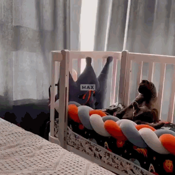 dd80e1522fdd7817d010b7ea762cbd6c.gif