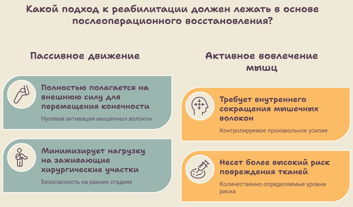 Подходы к реабилитации в инфографике