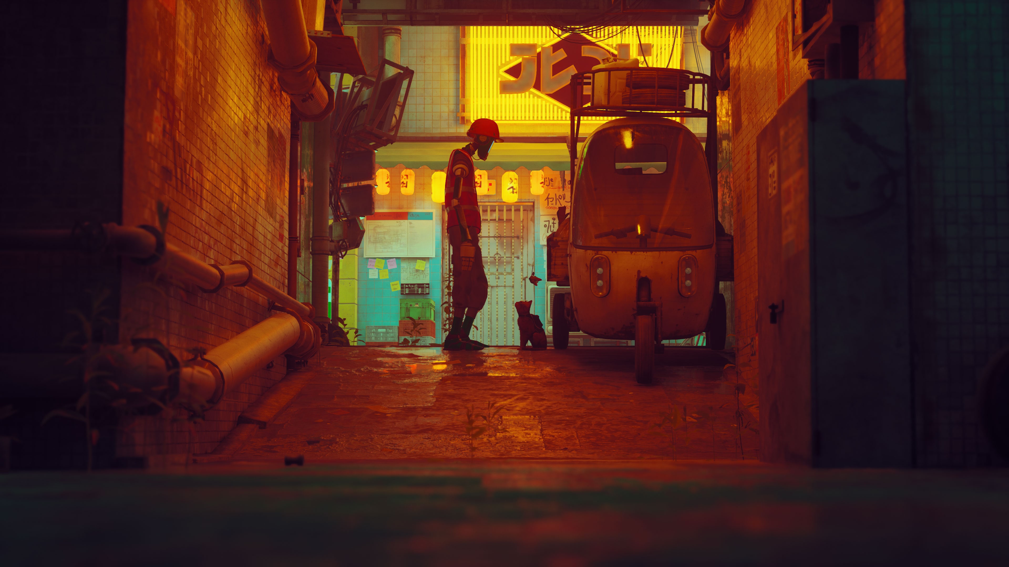 stray-7.jpg