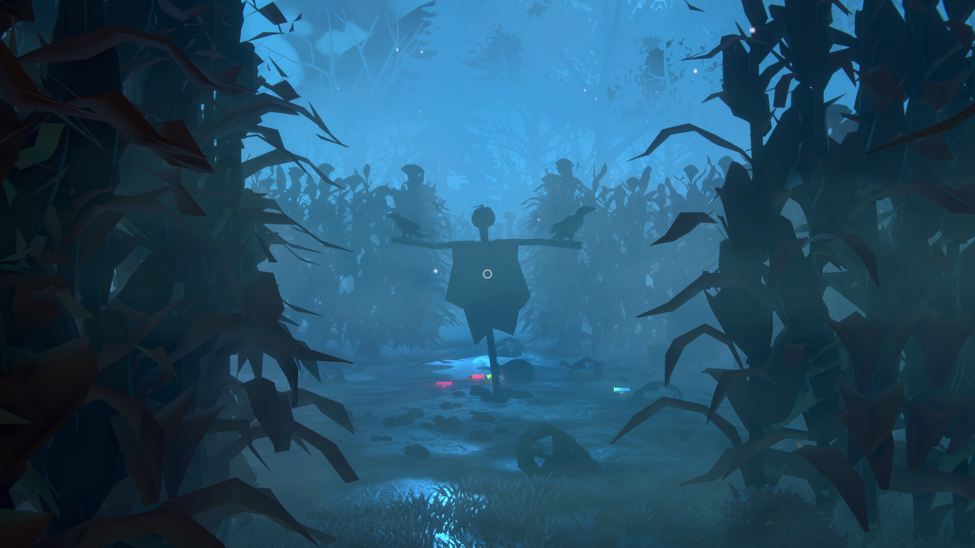 s003.jpg