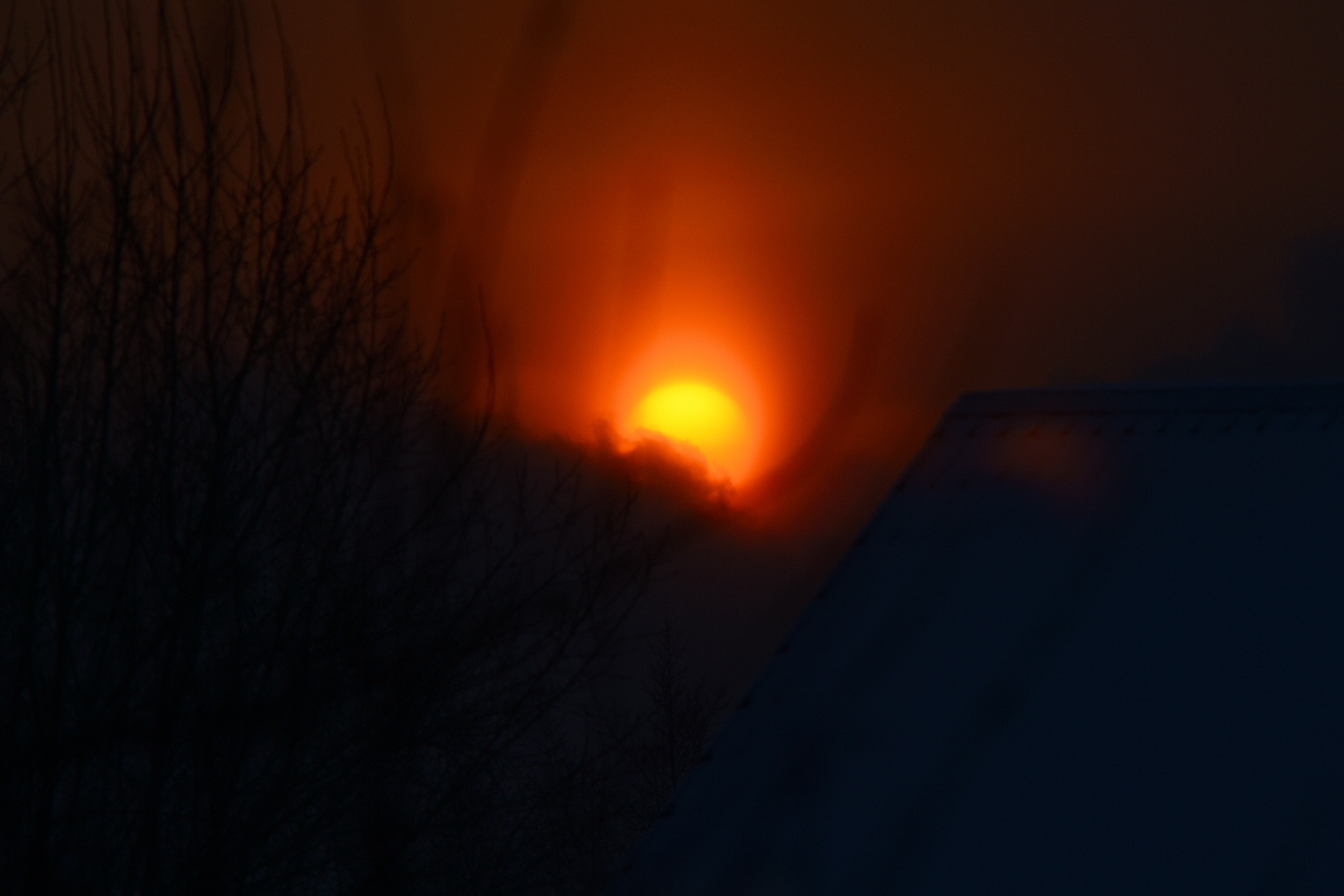 DSC_9906_01.JPG