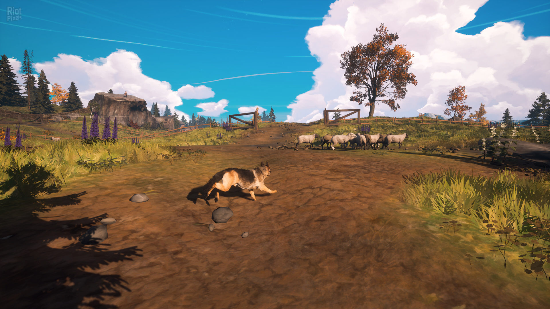screenshot.hubert.1920x1080.2026-10-15.1.jpg