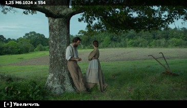 ��������� ���� ������ / Free State of Jones (2016) BDRip-AVC | iTunes | 2.14 GB