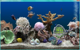 Marine Aquarium 3.3.6041 (2014) PC Marine Aquarium 3.3.6041 (2014) PC