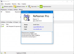 ReNamer Pro 7.4 + Portable (x86-x64) (2022) [Multi/Rus]