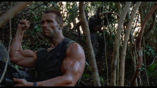 Хищник: Коллекция / Predator: Collection (1987-2018) Blu-Ray Remux 1080p Хищник: Коллекция / Predator: Collection (1987-2018) Blu-Ray Remux 1080p