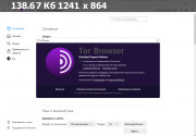Tor Browser Bundle 11.0.11 (x86-x64) (2022) {Eng/Rus}