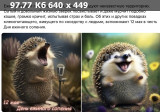 https://i1.imageban.ru/thumbs/2025.05.12/e7303d4e2ce0be02521e208eed4599ef.jpeg