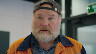 ���� �������� (2025/WEB-DL)