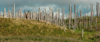 28 ��� ������: ����� II. ���� ������ / 28 Years Later: The Bone Temple (2026/BDRip/HDRip)